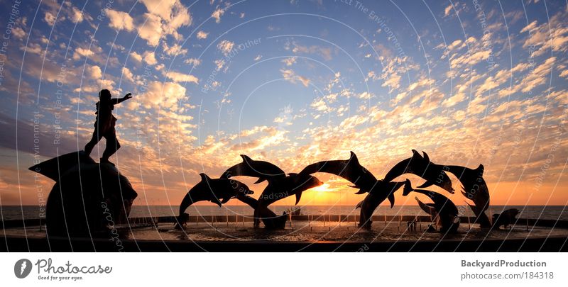 Dolphin statue in Mazatlan frames a beautiful sunset Colour photo Exterior shot Deserted Copy Space top Evening Twilight Silhouette Reflection Sunlight Sunrise