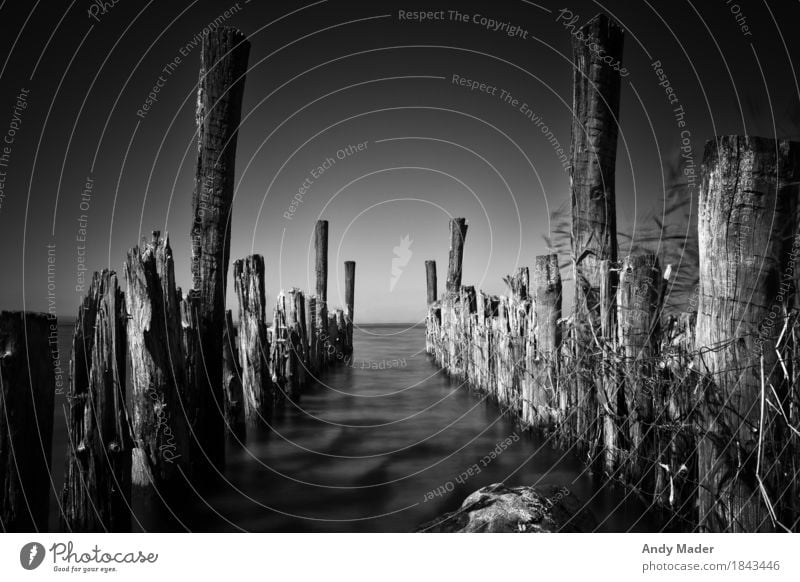 Old jetty in the water Landscape Water Cloudless sky Coast Lakeside Destruction Footbridge Tree trunk Black & white photo Long exposure Putrid Exterior shot