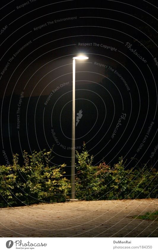 alone in the dark Colour photo Exterior shot Deserted Night Artificial light Light Shadow Silhouette Long exposure Central perspective Plant Bushes Europe Stone