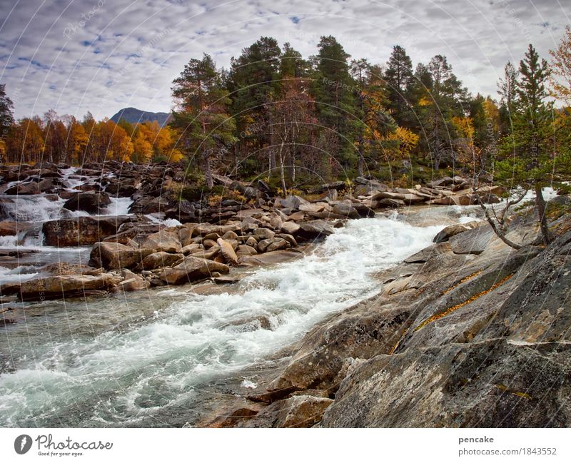 electricity suppliers Nature Landscape Elements Water Sky Clouds Autumn Rock Mountain Waves River Waterfall Fantastic Fresh Large Speed Norway