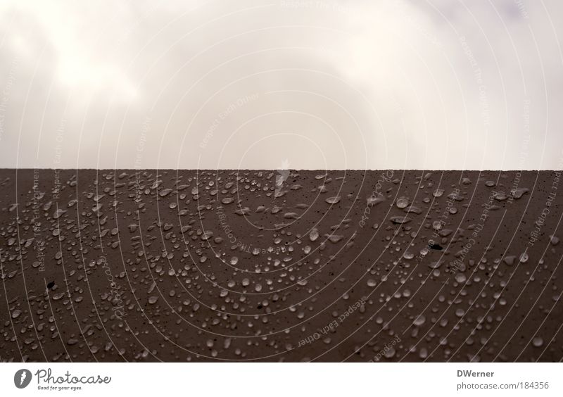 wall drops Winter Art Artist Work of art Environment Nature Water Drops of water Sky Clouds Bad weather Fog Rain Monument Wet Brown Red Climate Stone steal