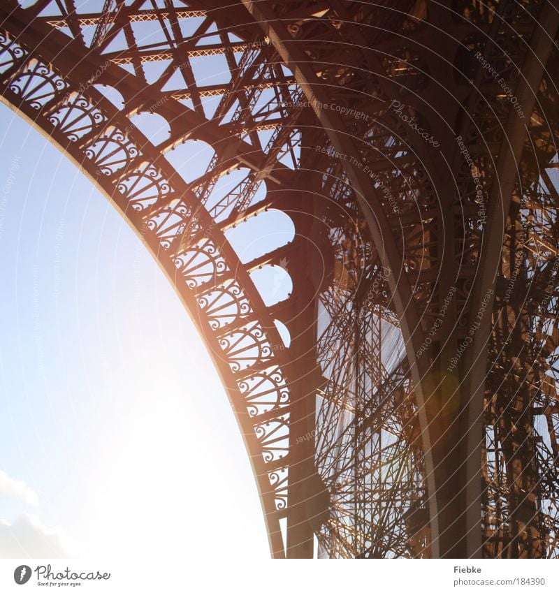 Eiffel Tower Colour photo Exterior shot Detail Pattern Structures and shapes Copy Space left Light Contrast Reflection Sunlight Sunbeam Back-light Tourism