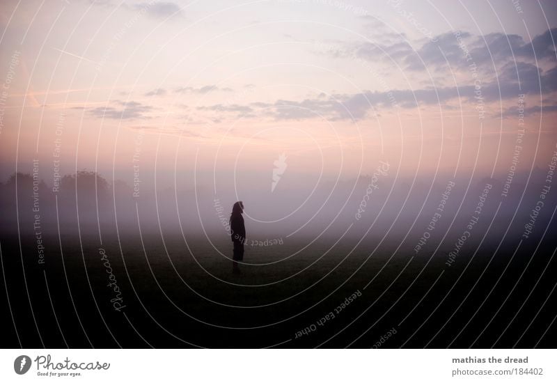 melancholy Colour photo Subdued colour Exterior shot Copy Space left Copy Space right Copy Space top Copy Space bottom Morning Dawn Light Shadow Contrast