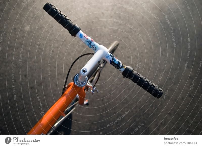 city racehorse Colour photo Exterior shot Detail Twilight Deep depth of field Cycling Bicycle singlespeed Perspective fixed fixed gear messenger Day