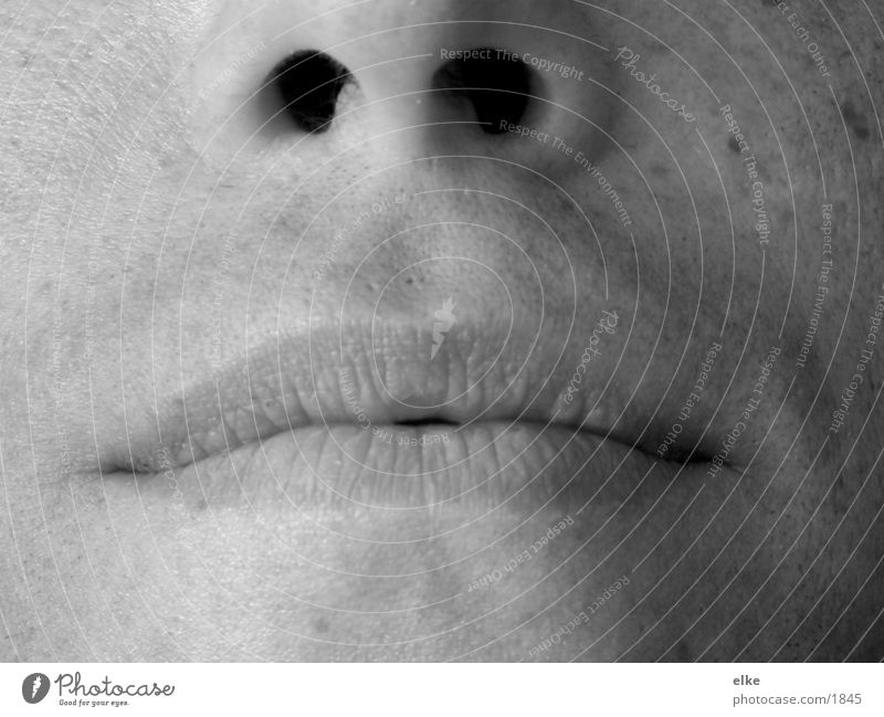 part face Human being Man Face Mouth Nose