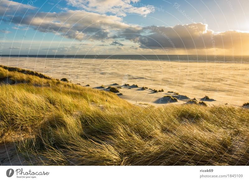 Landscape with dunes on the island of Amrum Relaxation Vacation & Travel Tourism Beach Ocean Island Nature Sand Clouds Autumn Coast North Sea Blue Yellow Dune