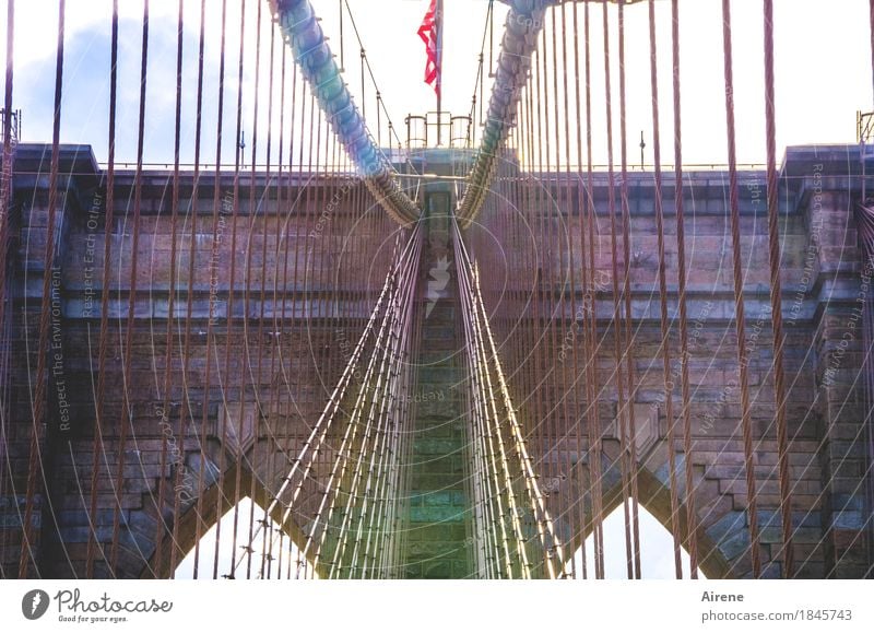 mainstream New York City USA Capital city Downtown Deserted Bridge Tourist Attraction Landmark Brooklyn Bridge Stone Steel Line Network To hold on Hang