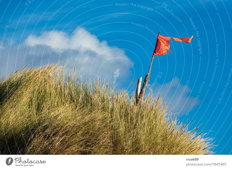 Landscape with dunes on the island of Amrum Relaxation Vacation & Travel Tourism Beach Ocean Island Nature Sand Clouds Autumn Coast North Sea Flag Blue Yellow