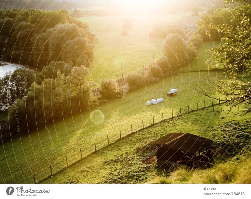 Murtal Cycle Path Colour photo Evening Light Sunlight Sunbeam Back-light Nature Landscape Summer Meadow Field River Train travel Authentic Simple Natural Gold