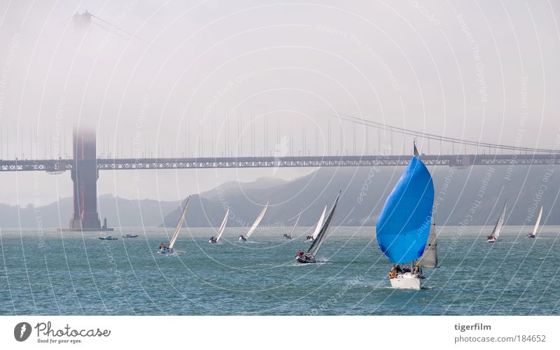 sailboat in san francisco bay Colour photo Exterior shot Copy Space top Day Panorama (View) Cruise Sailing Summer Fog Bay Port City Bridge Landmark Yacht