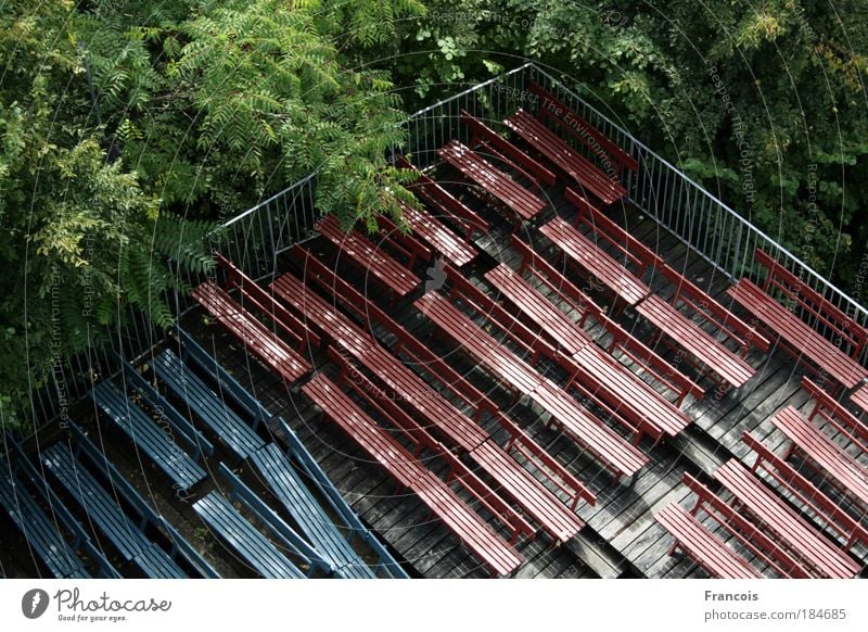 Theatre benches2 Colour photo Exterior shot Deserted Day Bird's-eye view Event Outdoor festival Tree Forest Ruin Bench Row Blue Empty forsake sb./sth. nobody