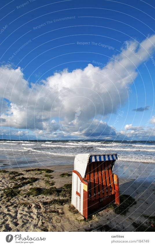 We have to wait outside Coast Environment Deserted Copy Space top Wide angle Harmonious Relaxation Calm Vacation & Travel Tourism Trip Autumn Beach Ocean Algae