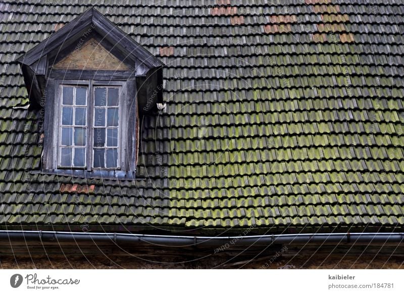 slight roof damage maidservant jump Village House (Residential Structure) Manmade structures Building Architecture Window Roof Eaves Dormer Roofing tile