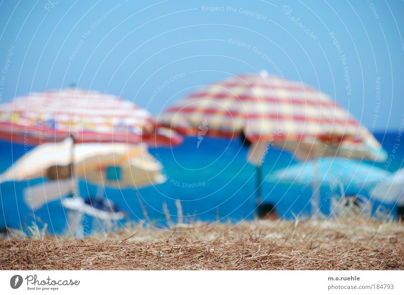 seasonal Colour photo Multicoloured Exterior shot Detail Structures and shapes Deserted Copy Space top Day Light Blur Shallow depth of field Wide angle