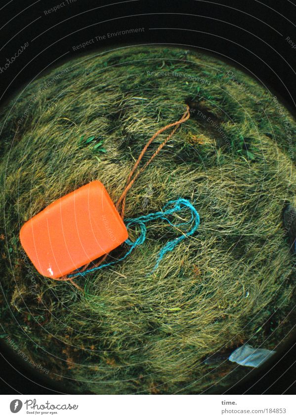 Planet Trash Rope Meadow Coast Lakeside Sphere String Lie Growth Trashy Canister Orange Things Lawn Leashed Flood Lomography Fisheye