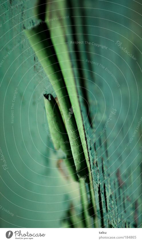 ...SOFT GREEN I... Colour photo Exterior shot Close-up Detail Structures and shapes Copy Space left Copy Space right Contrast Deep depth of field Hut