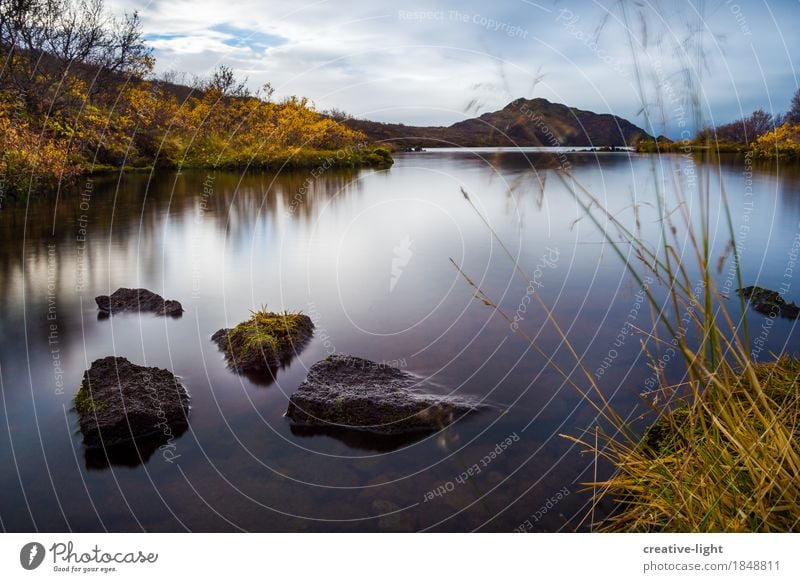 silence Nature Landscape Plant Water Sky Clouds Autumn Weather Grass Moss Wild plant Rock Coast Lakeside Bog Marsh Moody Contentment Trust Safety Serene Patient