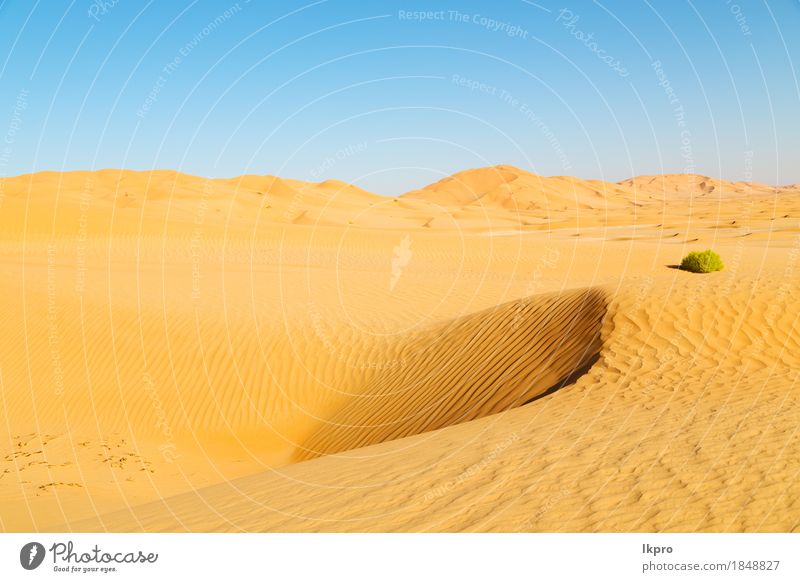 and outdoor sand dune in oman old desert rub al khali Beautiful Vacation & Travel Tourism Adventure Safari Summer Sun Nature Landscape Sand Sky Horizon Park