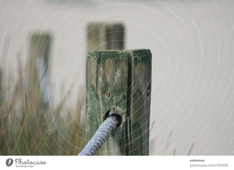 along the beach Colour photo Subdued colour Exterior shot Deserted Copy Space right Neutral Background Day Shallow depth of field Sand Summer Coast Beach Bay