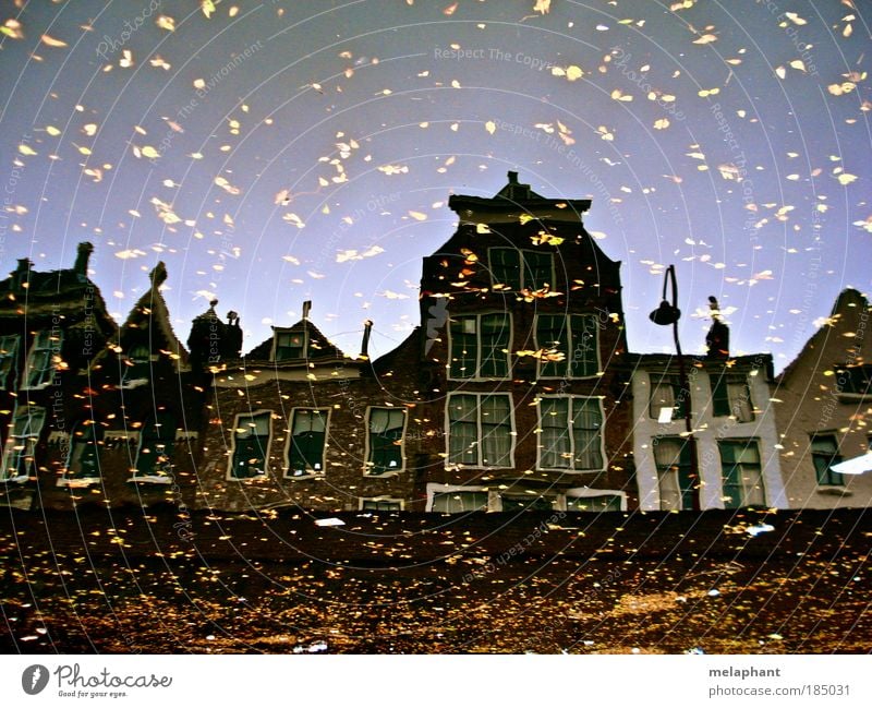 Pour glitter on it. House (Residential Structure) Environment Water Cloudless sky Autumn Leaf River Netherlands Port City Manmade structures Wall (barrier)