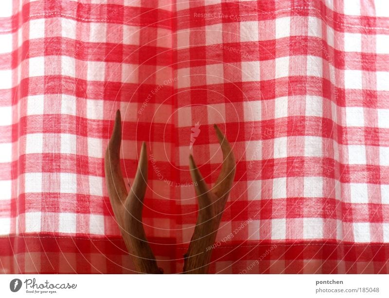 antlered Style Design Leisure and hobbies Hunting Arrange Interior design Decoration Room Curtain Drape Checkered Cloth Reddish white Antlers Deer Death Animal