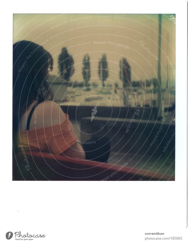 cypress in the background. Water Contentment Loneliness Calm Switzerland "Cypresses that may not be any." Bench Woman Girl from high East Harbour boat Polaroid