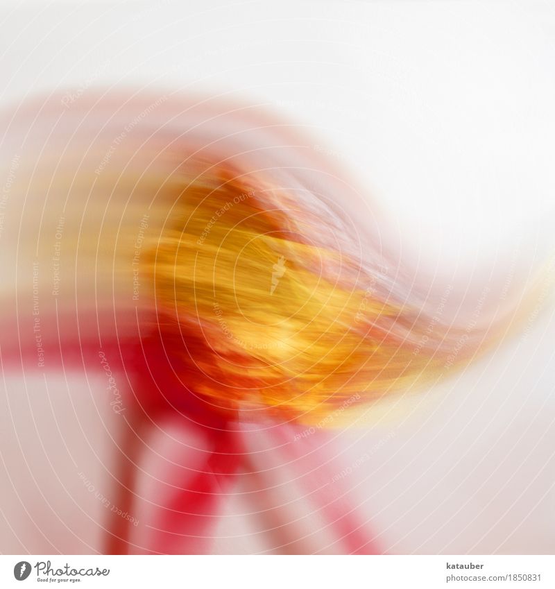 on fire Dance 1 Human being Movement Glittering Fight Illuminate Esthetic Gold Red Joy Euphoria Optimism Elegant Fire Rag Body Stripe swoosh Burn Colour photo