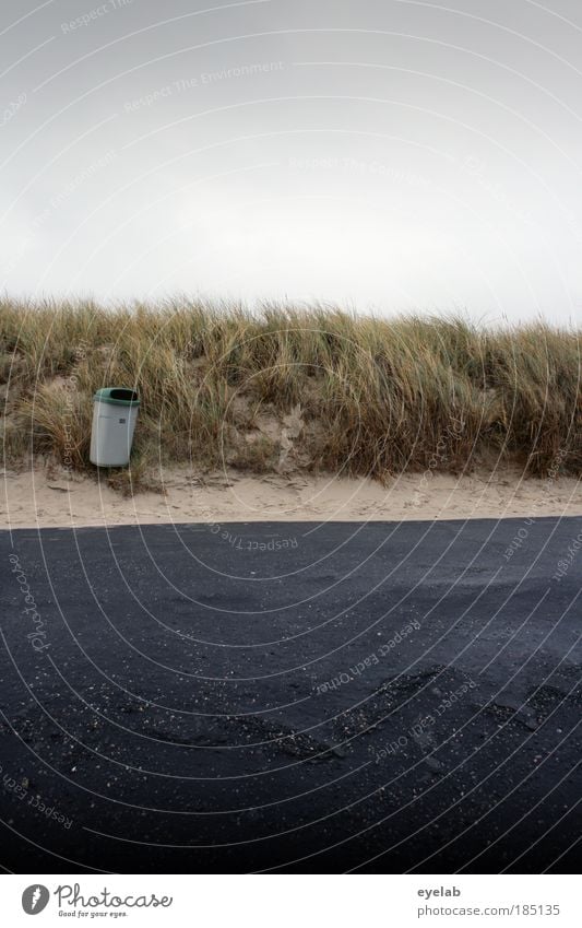 Summer sun beach and tar Nature Landscape Sky Clouds Horizon Autumn Climate Weather Wind Grass Coast Beach North Sea Ocean Island Traffic infrastructure Street