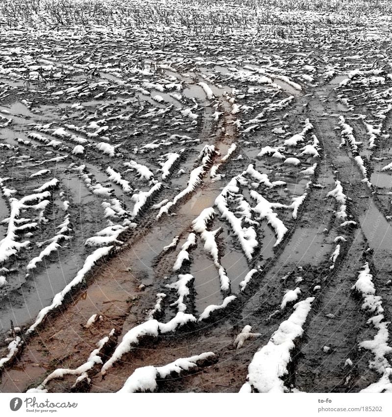 tracks Agriculture Landscape Earth Autumn Winter Weather Bad weather Snow Field Loneliness Boredom Muddy acre Tracks Subdued colour Exterior shot Abstract