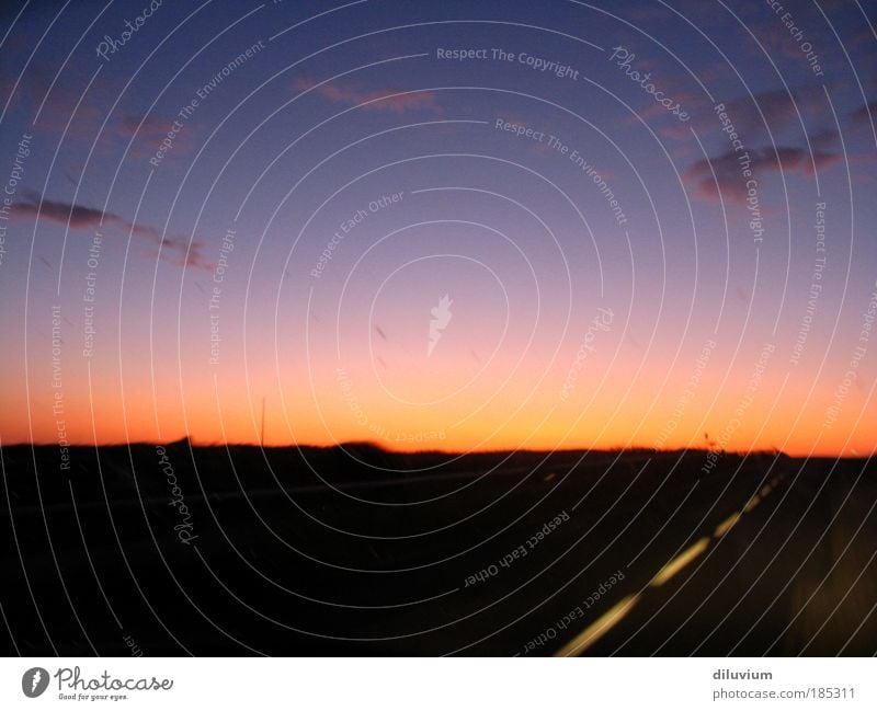 autopilot Far-off places Freedom Landscape Sky Night sky Horizon Sunrise Sunset Motoring Street Driving Speed Colour photo Exterior shot Evening Twilight