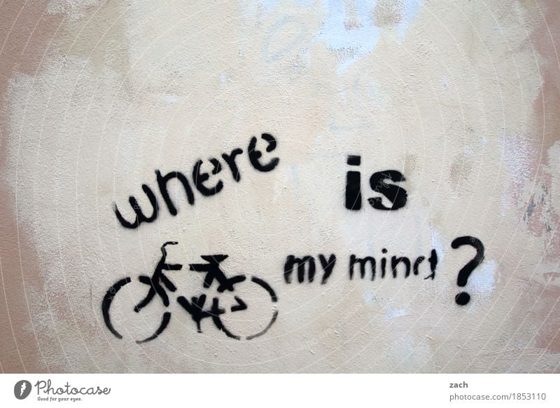 valid question Brain and nervous system Intellect Ask Town Search Bicycle Cycling Downtown Wall (barrier) Wall (building) Facade Sign Characters