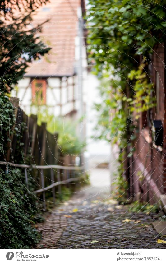 Eisenach alleyway Germany Small Town Old town Historic Alley Footpath Cobbled pathway Half-timbered house Half-timbered facade Colour photo Exterior shot