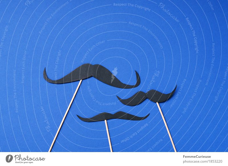 Beard_choice_1853220 Facial hair Moustache Hair Sign Hip & trendy Masculine Beard hair Impaled Blue Home-made Cardboard Dress up Carnival Party Moustache hair