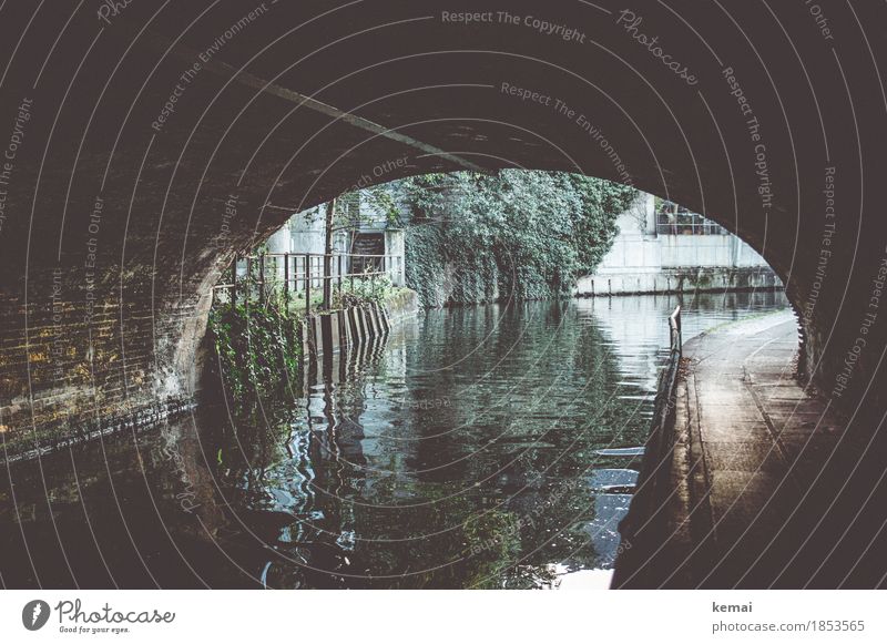 At the canal Water Foliage plant River Channel Town Downtown Bridge Tunnel Facade Handrail Authentic Dark Glittering Loneliness Surface of water Waterway Curve