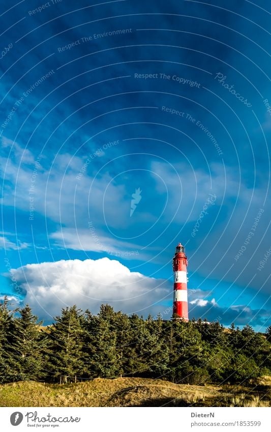 contrast Nature Landscape Sky Clouds Autumn Weather Beautiful weather Tree Meadow North Sea Blue Green Red Lighthouse Amrum North Frisian Islands Colour photo