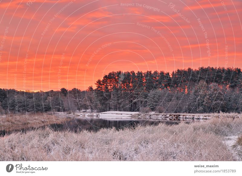 Colorful autumn dawn. Red sky and clouds. First snow Vacation & Travel Tourism Trip Freedom Winter Snow Environment Nature Landscape Plant Sky Clouds Autumn