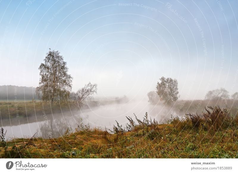 Autumn foggy morning. Dawn on the misty tranquil river Vacation & Travel Tourism Nature Landscape Sky Fog Tree Park Meadow River bank Lake Bright Natural Blue