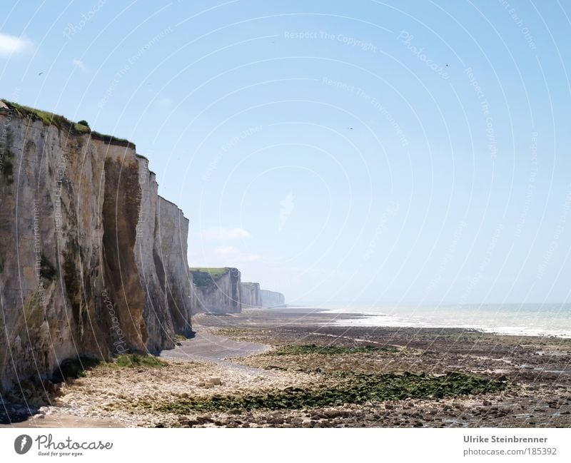 Steep coast on the Atlantic Ocean near Mers-les-Bains/Ault Environment Nature Landscape Water Sky Summer Beautiful weather Algae Mountain Coast Beach