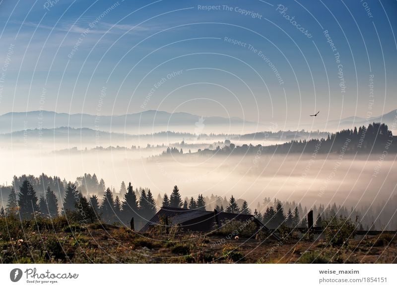 Bird flying over hills and village. Foggy morning in mountains Vacation & Travel Tourism Trip Adventure Freedom Mountain House (Residential Structure) Nature