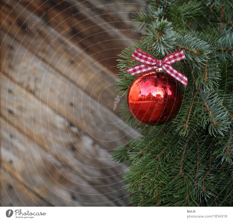 Christmas branch Feasts & Celebrations Christmas & Advent Decoration Bow Glittering Green Red Wood Wooden wall Twigs and branches Sphere Glitter Ball Checkered