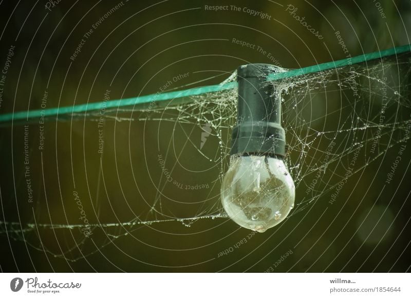 Mains connection Electric bulb Energy industry Energy crisis Dark Spider's web Lighting Lighting element Exterior lighting spun cobwebs