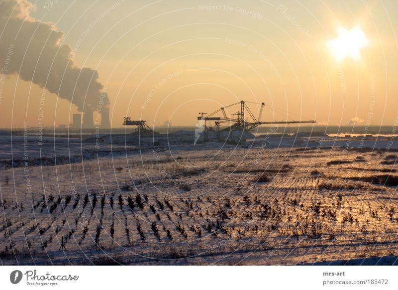 Open cast mine Zwenkau Energy industry Environment Nature Landscape Elements Earth Sun Sunrise Sunset Sunlight Winter Climate Climate change Ice Frost Snow