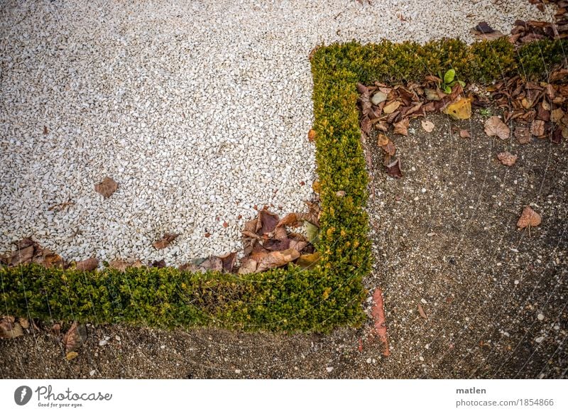 seasonal Autumn Bushes Park Dry Brown Gray Green White Pecking order Hedge Gravel Pebble Graveled Leaf Colour photo Subdued colour Exterior shot Detail Deserted