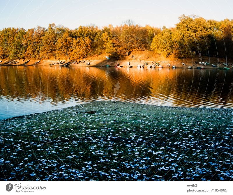 parking bay Environment Nature Landscape Plant Water Cloudless sky Horizon Autumn Climate Beautiful weather Tree Leaf Deciduous tree Autumnal colours Lakeside