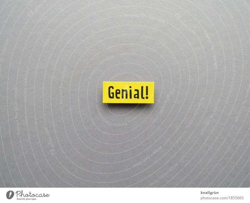 Brilliant! Characters Signs and labeling Communicate Yellow Gray Black Emotions Moody Happy Contentment Joie de vivre (Vitality) Enthusiasm Euphoria Optimism