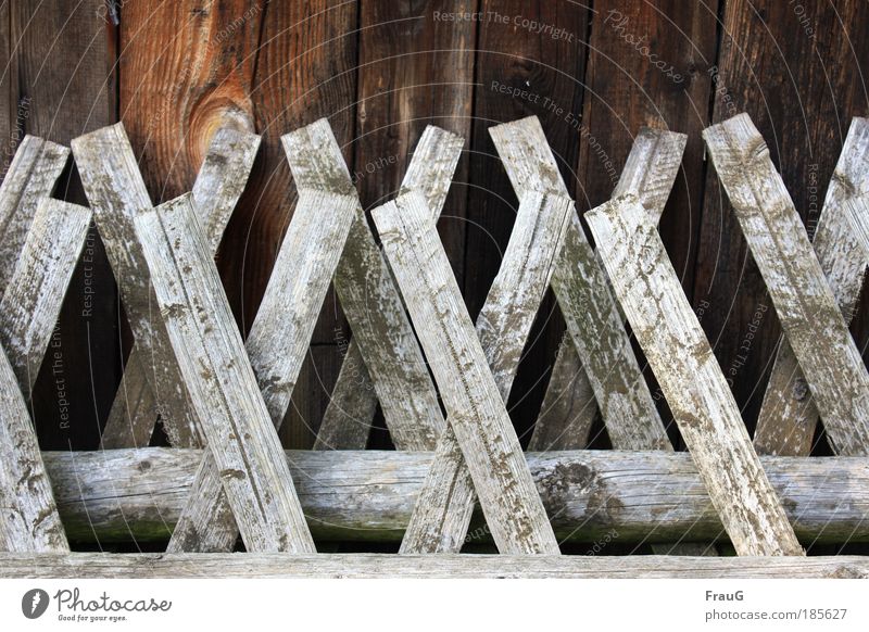 Hunter's fence parked Garden Gardening Retirement Autumn Drought Wood Old Dry Gray Serene Colour photo Exterior shot Deserted Day