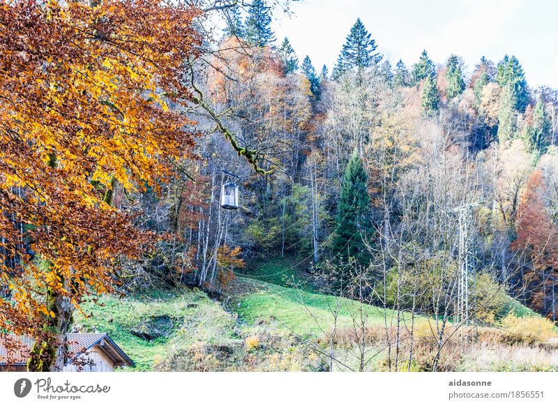 aerial cableway Nature Landscape Autumn Forest Alps Cable car Driving Vacation & Travel Partnachklamm Garmisch-Partenkirchen Colour photo Exterior shot Deserted