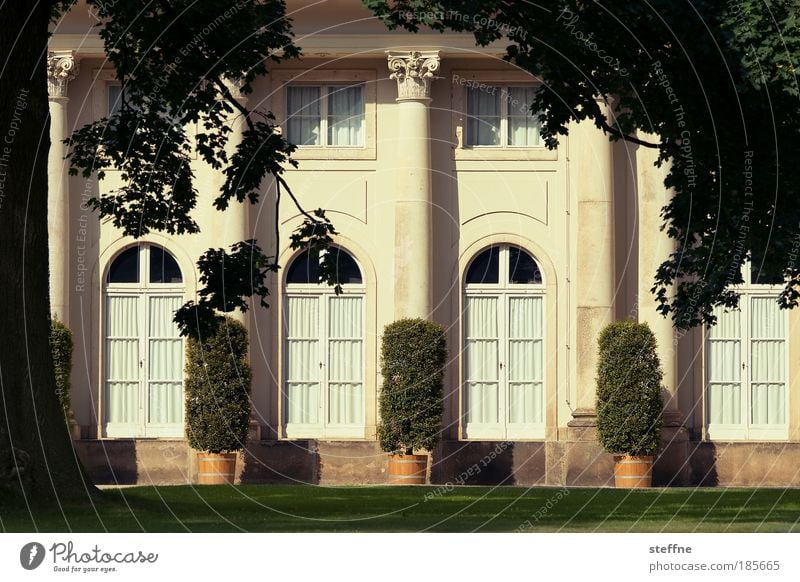 Villa Kunterbunt Tree Garden Park Meadow Dream house Architecture Castle Country house Luxury Calm Colour photo Exterior shot Deserted Day Shadow Contrast