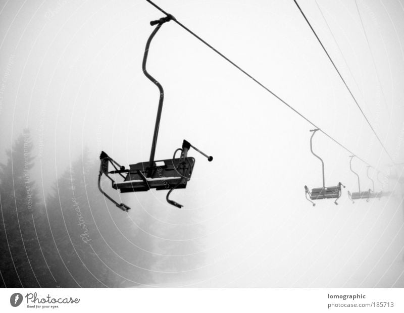 descent Skis Ski run Chair lift Nature Winter Fog Snow Snowfall Alps Mountain Cable car Ski lift Freedom Black & white photo Exterior shot Deserted Contrast