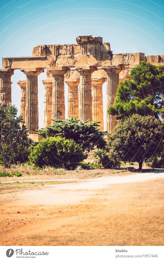 Ancient Greek temple in Selinunte, Sicily, Italy Vacation & Travel Tourism Culture Landscape Sky Ruin Building Architecture Monument Stone Old Historic Society